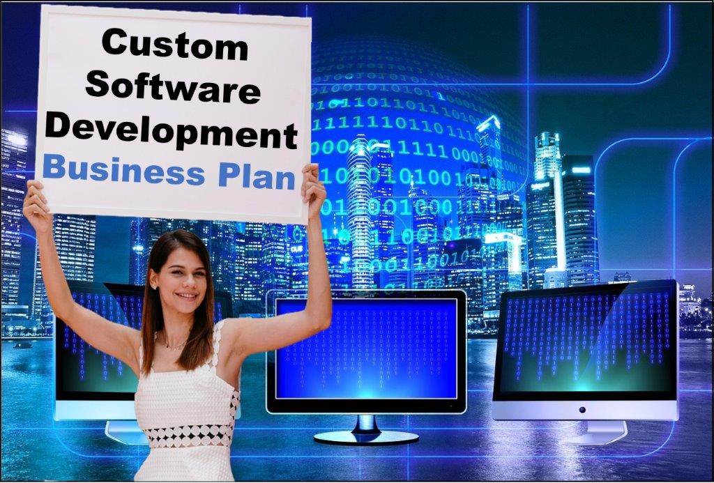 custom software development services provider in Carson City Nevada