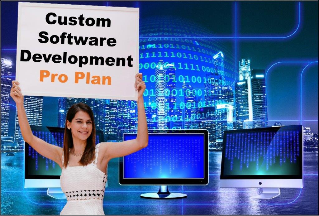 custom software development agency in Carson City Nevada