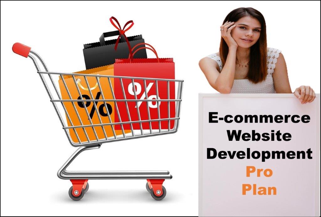 professional ecommerce website development agency in Carson City Nevada