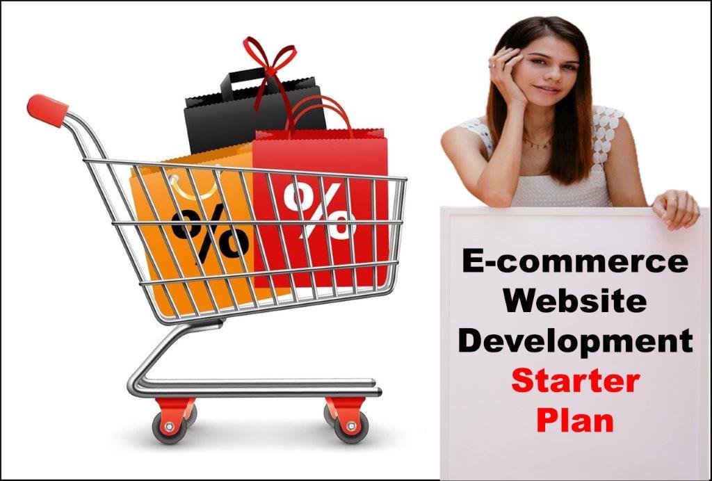 ecommerce website development agency in Carson City Nevada