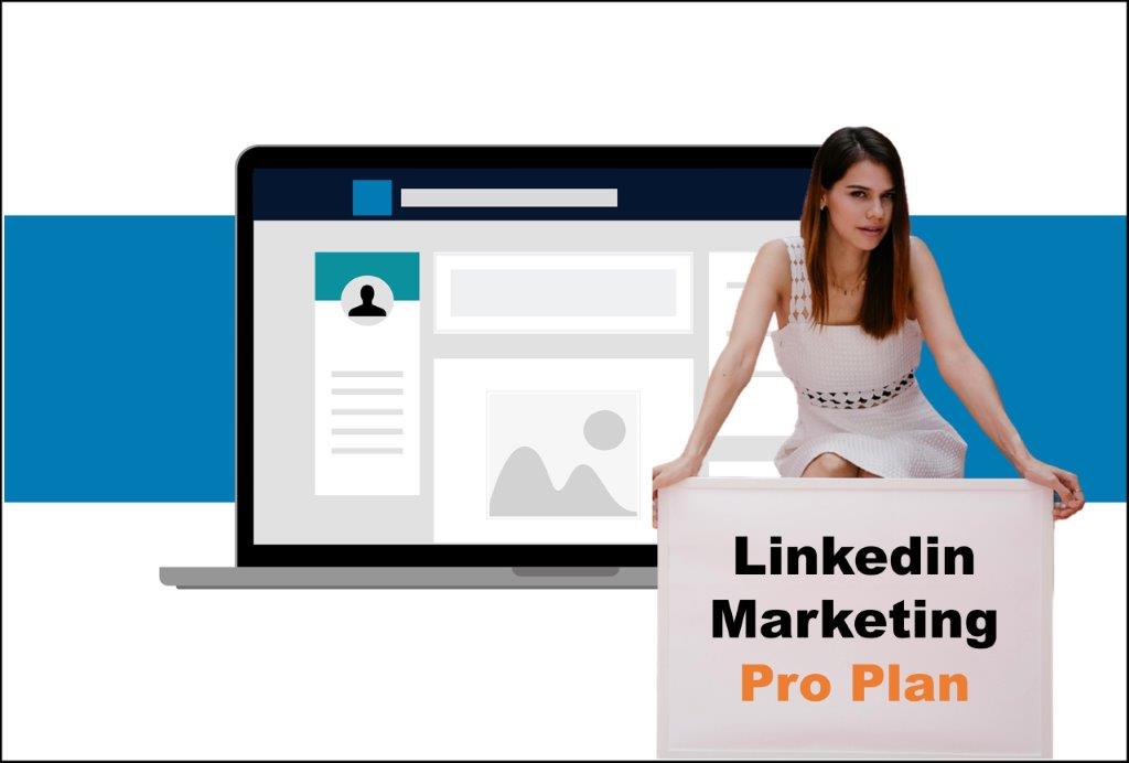 linkedin marketing agency in Carson City Nevada