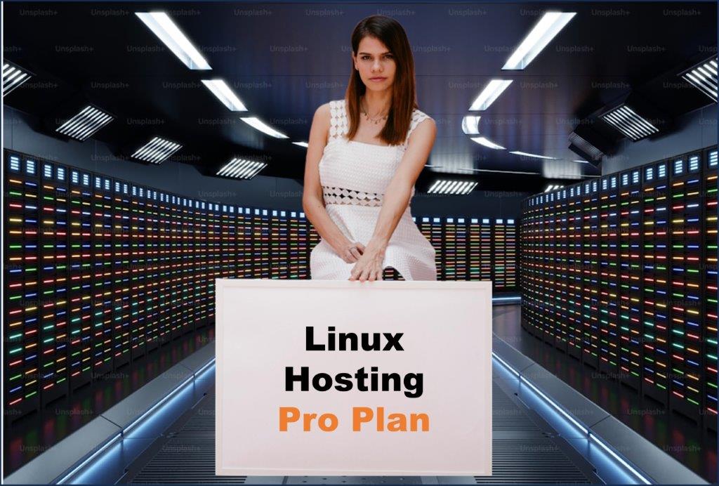 linux hosting windows hosting provider in Carson City Nevada