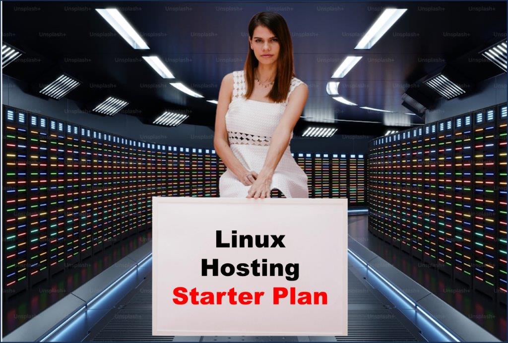 linux hosting windows hosting provider in Carson City Nevada