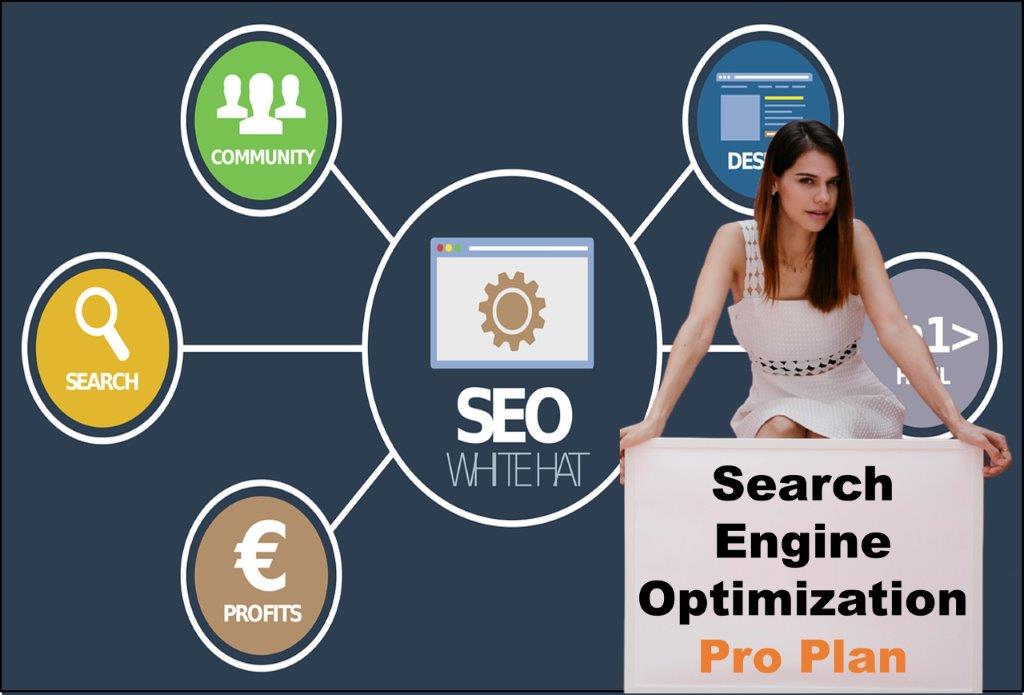 seo company Carson City Nevada