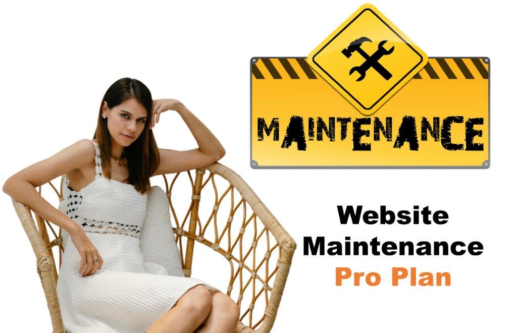 website maintenance agency in Carson City Nevada