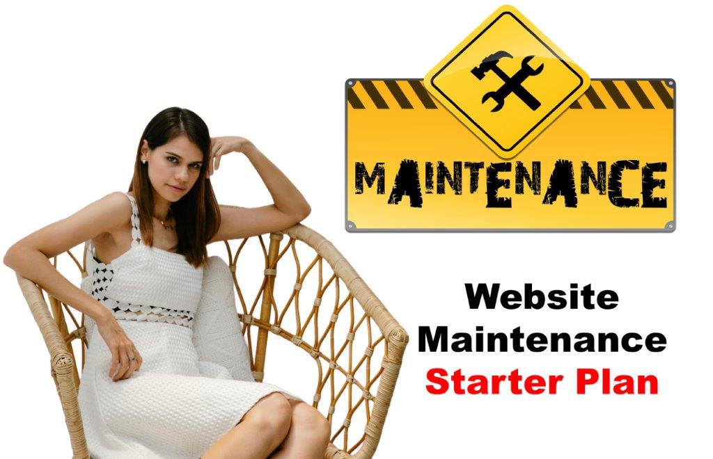 website maintenance service in Carson City Nevada