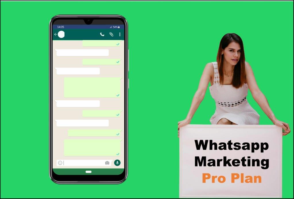 whatsapp marketing agency in Carson City Nevada