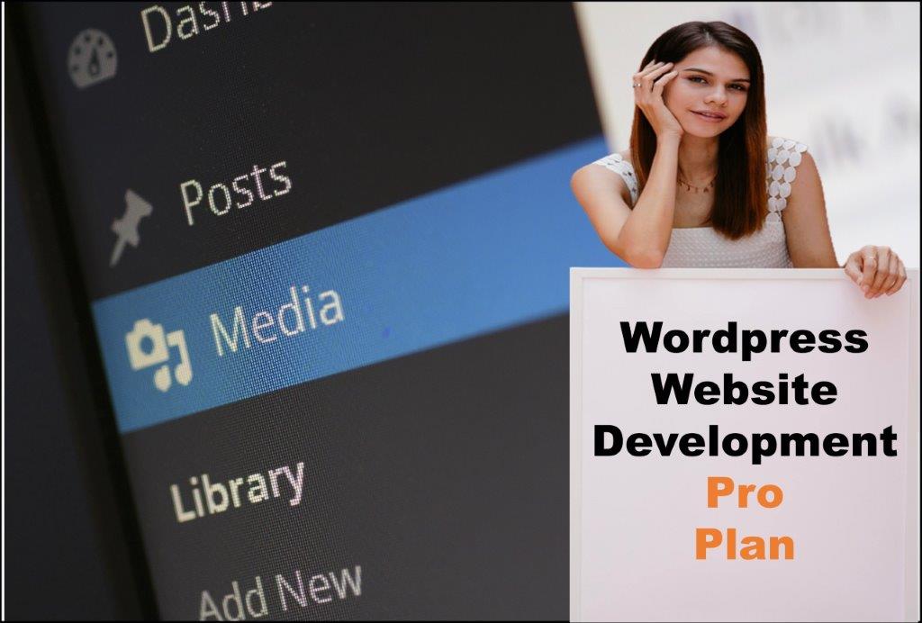 wordpress website designing in Carson City Nevada